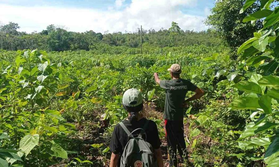 CopyofIMG_20241011_092858