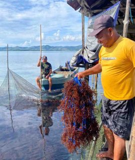 WhatsAppImage2025-05-30at14.12.0611